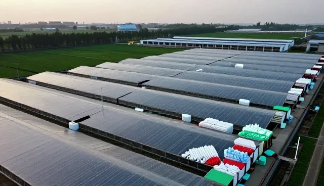 选型过程中质量控制的关键影响因素分析